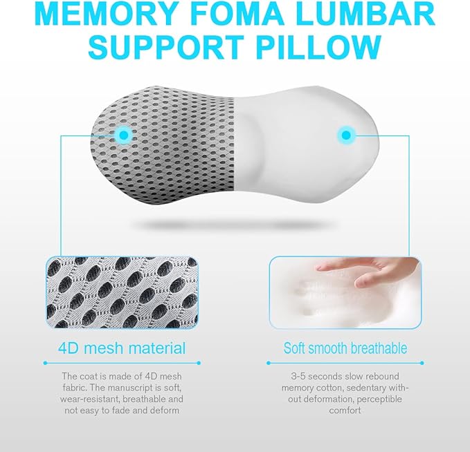 Lumbar Support Pillow for Car and Office – Ergonomic Memory Foam Back Cushion with 4D Breathable Mesh Cover, Removable & Washable