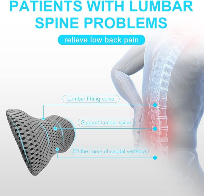 Lumbar Support Pillow for Car and Office – Ergonomic Memory Foam Back Cushion with 4D Breathable Mesh Cover, Removable & Washable